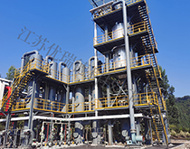 氯、氟廢液、氣焚燒-TO爐